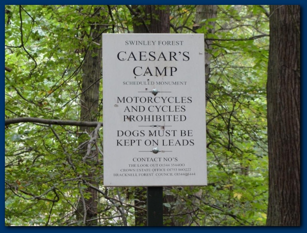 600x449 pixels (150K)